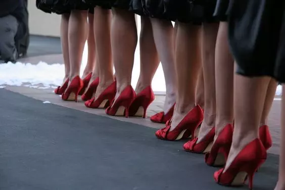 Zapato de tacón de lujo